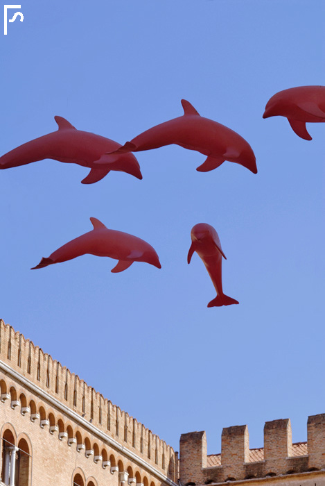 Dolphins in the sky