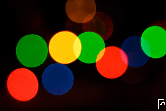 Lights of festivity