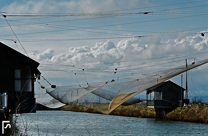 Fishing nets #2